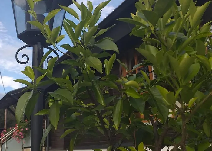 Holiday home Kumpitsch Sankt Johann im Saggautal